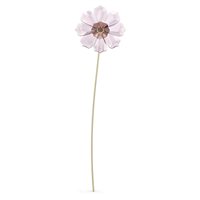 Scultura Swarovski Donna Garden Tales in Cristallo 5557801